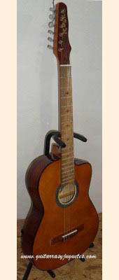 Guitarra Rockera modelo CGE imagen 6